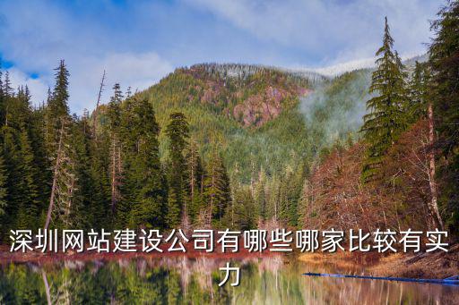 深圳網站建設公司有哪些哪家比較有實力