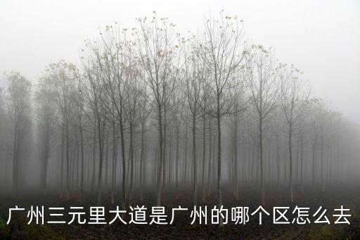 廣州三元里大道是廣州的哪個區怎么去