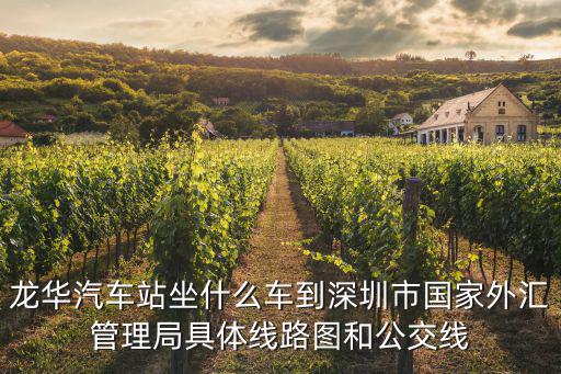 龍華汽車站坐什么車到深圳市國家外匯管理局具體線路圖和公交線