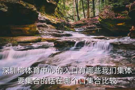 深圳灣體育中心，深圳灣體育中心的入口有哪些我們集體要集合的話在哪個(gè)口集合比較