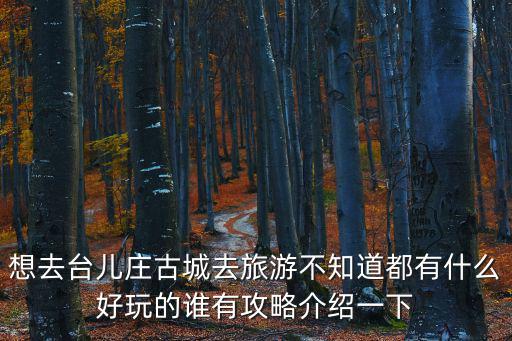 想去臺(tái)兒莊古城去旅游不知道都有什么好玩的誰有攻略介紹一下