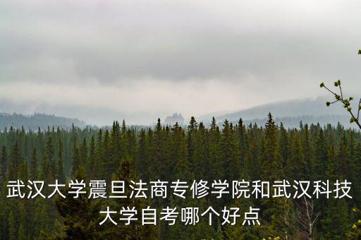 武漢科技專修學院，武漢科技職業學校