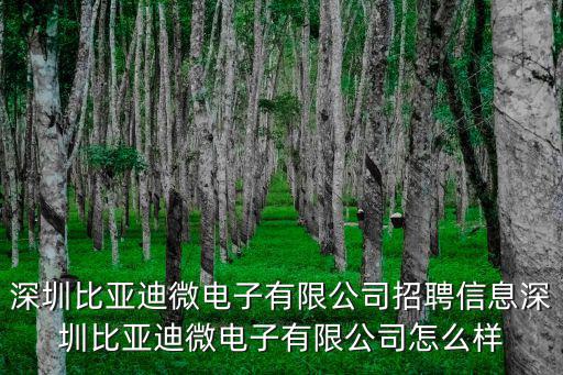 深圳比亞迪招聘信息，深圳比亞迪寶龍廠還招人么