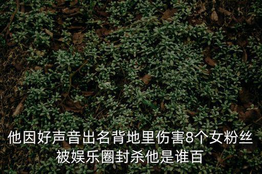 他因好聲音出名背地里傷害8個(gè)女粉絲被娛樂圈封殺他是誰百