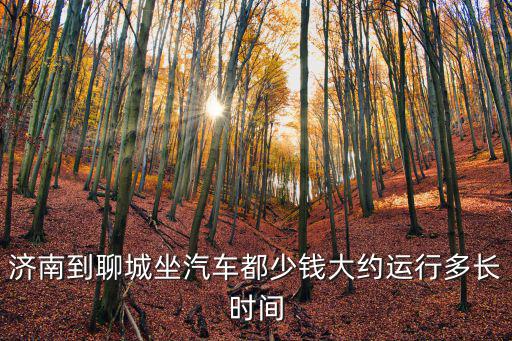 濟南到聊城坐汽車都少錢大約運行多長時間