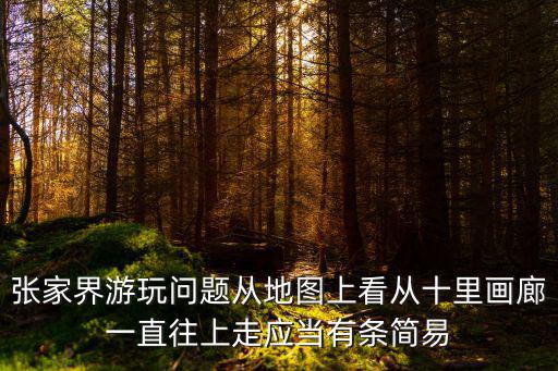 張家界游玩問題從地圖上看從十里畫廊一直往上走應當有條簡易