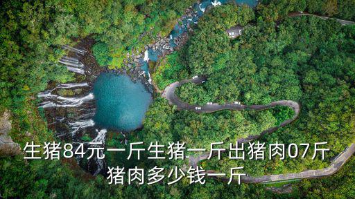 生豬84元一斤生豬一斤出豬肉07斤豬肉多少錢一斤