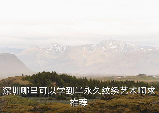 深圳哪里可以學到半永久紋繡藝術啊求推薦