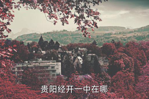 貴陽經開一中在哪