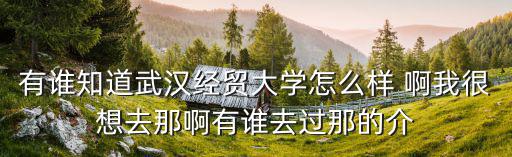 有誰知道武漢經貿大學怎么樣 啊我很想去那啊有誰去過那的介