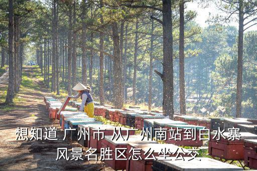 想知道 廣州市 從廣州南站到白水寨風(fēng)景名勝區(qū)怎么坐公交