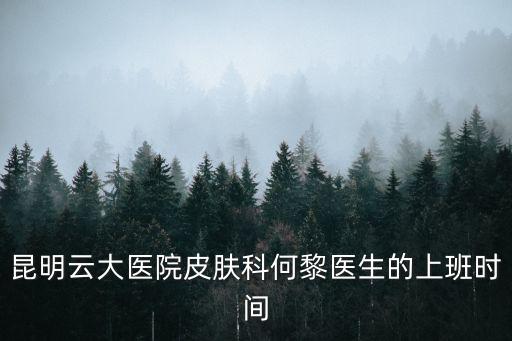昆明云大醫院皮膚科何黎醫生的上班時間