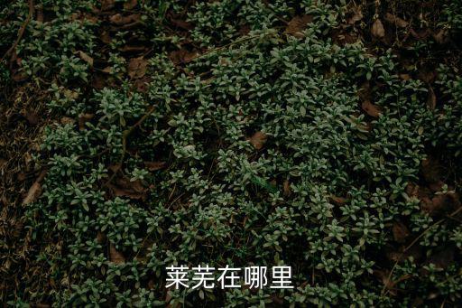 萊蕪市地圖，山東省萊蕪市口鎮河北村怎么走地圖