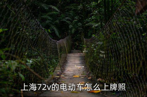 上海72v的電動車怎么上牌照