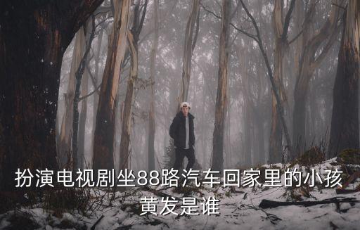 坐88路車回家演員表，扮演電視劇坐88路汽車回家里的小孩黃發是誰