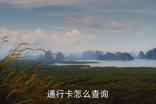 通行卡怎么查詢