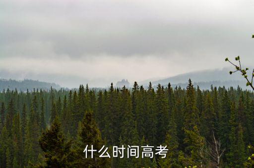 什么時間高考