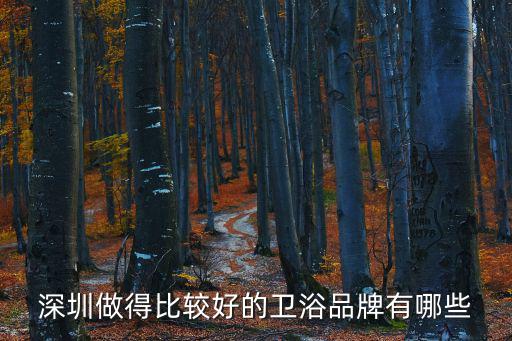 深圳做得比較好的衛浴品牌有哪些