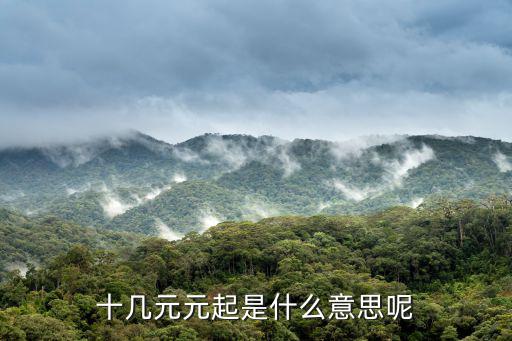 十幾元元起是什么意思呢