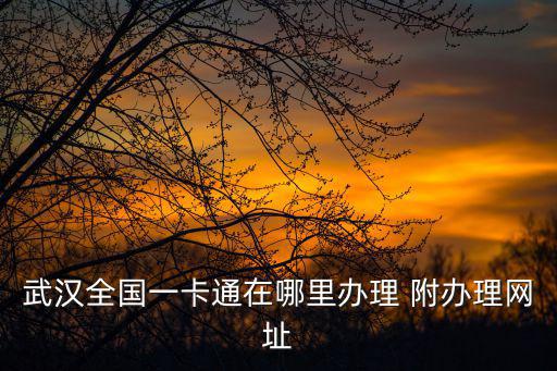 武漢通官網，交通銀行武漢通