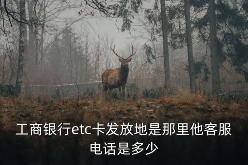 工商銀行etc卡發放地是那里他客服電話是多少