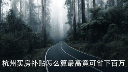 杭州人才政策，杭州高學(xué)歷人才補(bǔ)貼