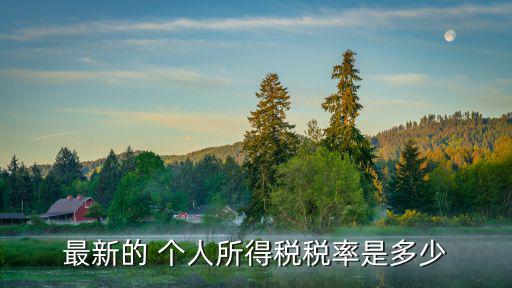 最新的 個人所得稅稅率是多少