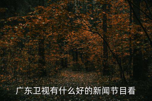 廣東衛(wèi)視有什么好的新聞節(jié)目看