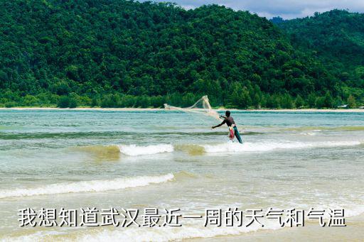 武漢新洲天氣，我想知道武漢最近一周的天氣和氣溫