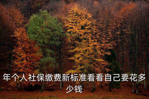 年個人社保繳費新標準看看自己要花多少錢
