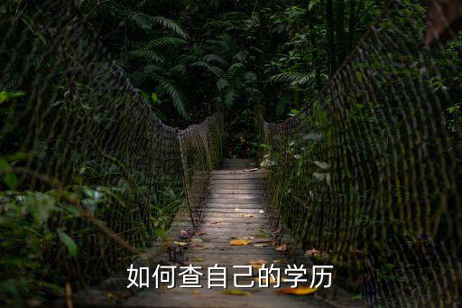 如何查自己的學歷
