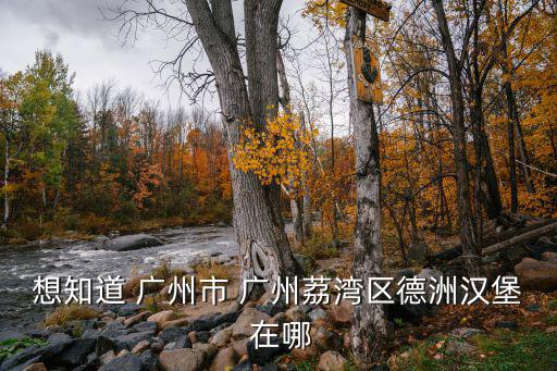 想知道 廣州市 廣州荔灣區德洲漢堡 在哪