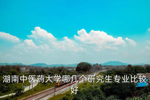 湖南中醫藥大學哪幾個研究生專業比較好