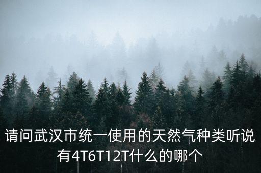 請問武漢市統一使用的天然氣種類聽說有4T6T12T什么的哪個