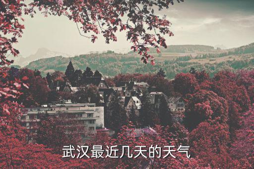 武漢15天天氣，武漢最近幾天的天氣
