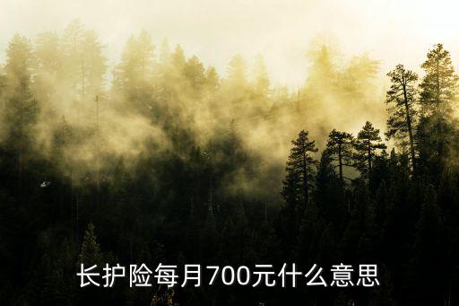 長護(hù)險每月700元什么意思