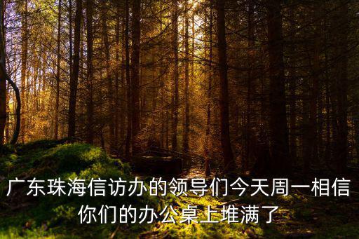 廣東珠海信訪辦的領導們今天周一相信你們的辦公桌上堆滿了