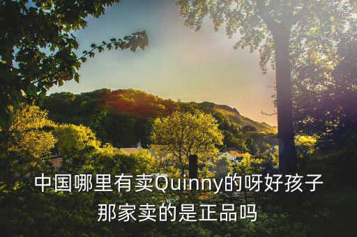 中國哪里有賣Quinny的呀好孩子那家賣的是正品嗎