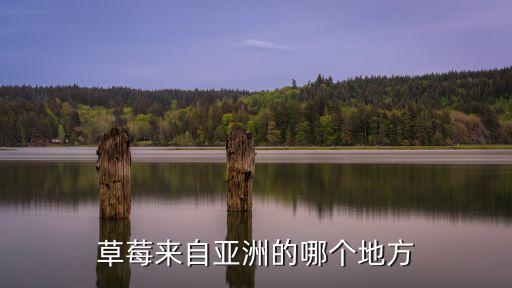 草莓來自亞洲的哪個地方