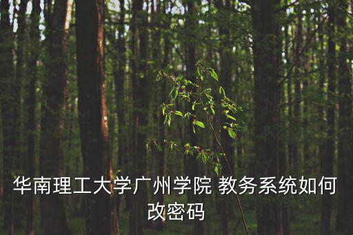 華南理工大學廣州學院 教務系統(tǒng)如何改密碼