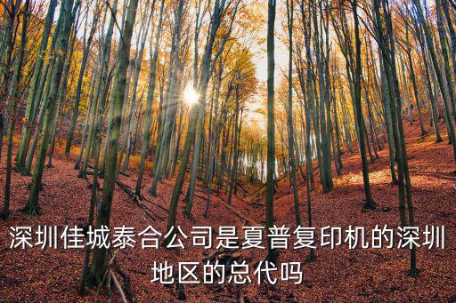 深圳復印機租賃，深圳佳城泰合公司是夏普復印機的深圳地區的總代嗎