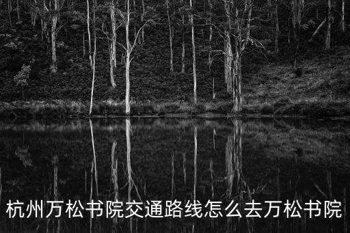 杭州萬松書院，杭州萬松書院交通路線怎么去萬松書院