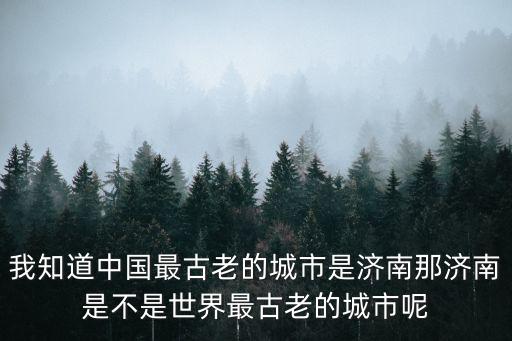 城子崖遺址，真正的黑陶在哪里
