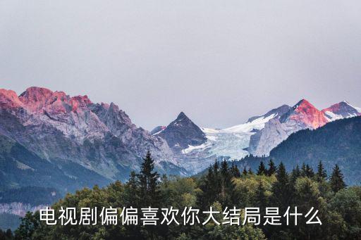 電視劇偏偏喜歡你大結局是什么