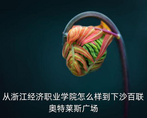 從浙江經濟職業學院怎么樣到下沙百聯奧特萊斯廣場