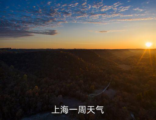 上海一周天氣