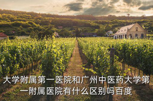 大學附屬第一醫院和廣州中醫藥大學第一附屬醫院有什么區別嗎百度
