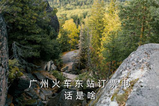 廣 州 火 車 東 站 訂 票 電 話 是 啥
