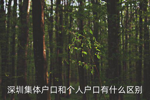深圳集體戶口，深圳集體戶口是什么意思