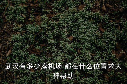 武漢有多少座機場 都在什么位置求大神幫助